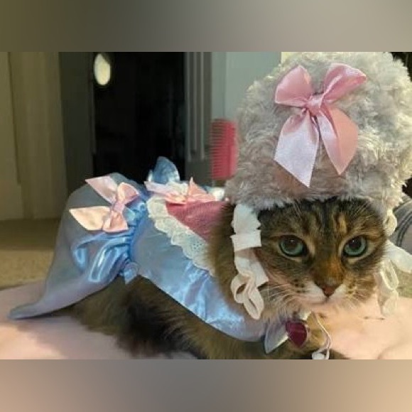 Marie Antoinette rococo adorable dog or cat halloween Costume - Picture 1 of 2